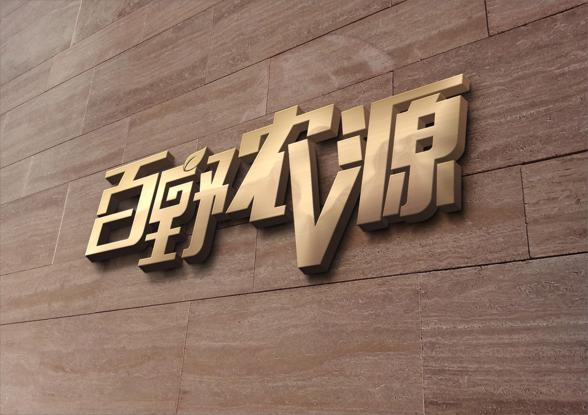 農(nóng)源山珍品牌策劃及VI形象設(shè)計|大山山珍品牌策劃|山珍公司品牌策劃|農(nóng)業(yè)山珍公司企業(yè)品牌形象設(shè)計 農(nóng)源山珍品牌策劃及VI形象設(shè)計|大山山珍品牌策劃|山珍公司品牌策劃|農(nóng)業(yè)山珍公司企業(yè)品牌形象設(shè)計